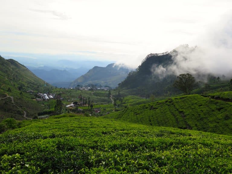 16 Things to do in Ella Sri Lanka | Endless Distances