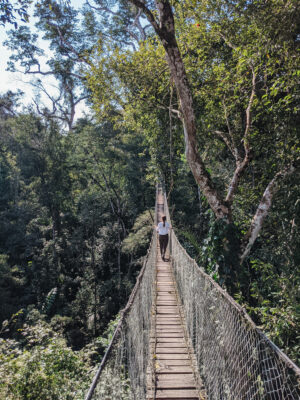 Inkaterra Reserva Amazonica: Peru's Most Accessible Hotel in the Amazon